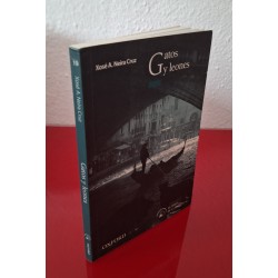 GATOS Y LEONES - NEIRA CRUZ, XOSÉ A.